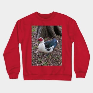 Muscovy Duck Red Black and White Crewneck Sweatshirt